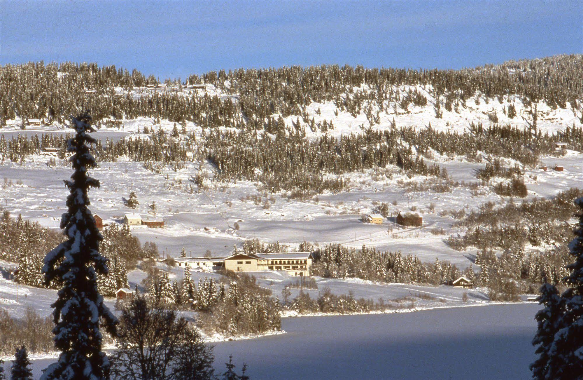Valdres Hoyfjellshotell Steinsetbygdi Ngoại thất bức ảnh