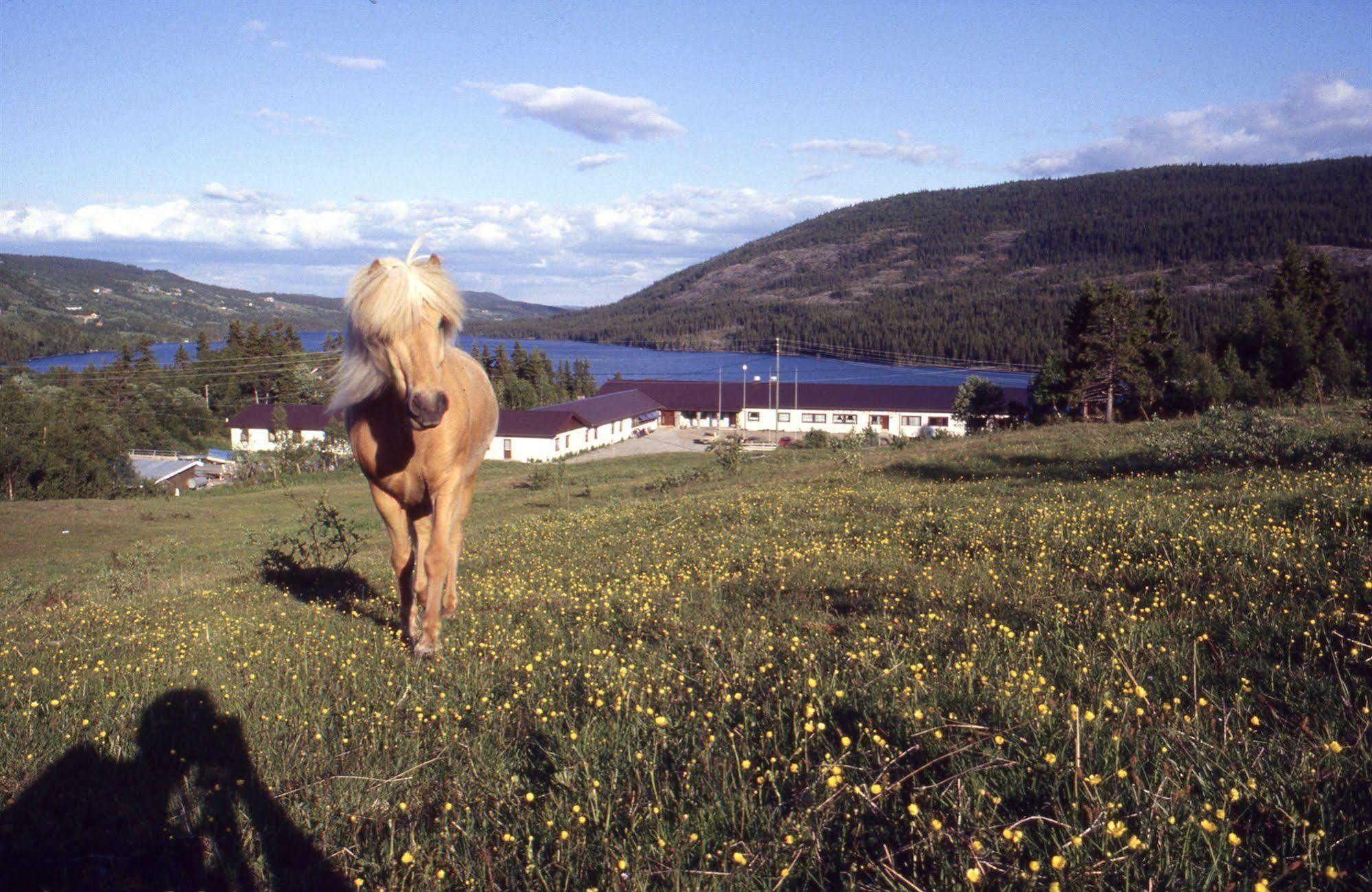 Valdres Hoyfjellshotell Steinsetbygdi Ngoại thất bức ảnh