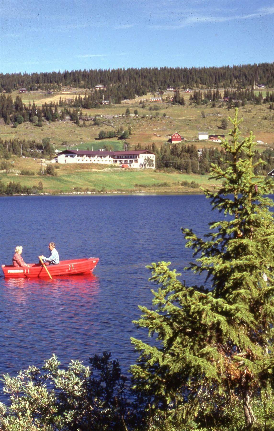 Valdres Hoyfjellshotell Steinsetbygdi Ngoại thất bức ảnh